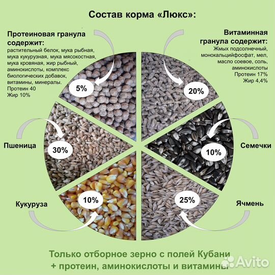 Корм для крыс с протеином, полнорационн. 5 кг