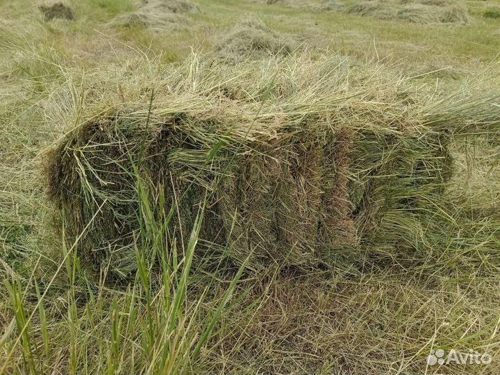 Сено в тюках. Разнотравие