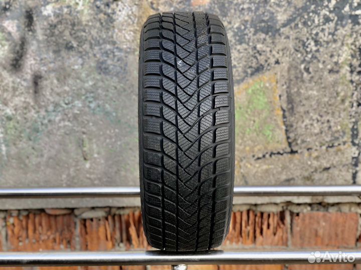 Landsail Winter Lander 195/55 R16 87H, 1 шт