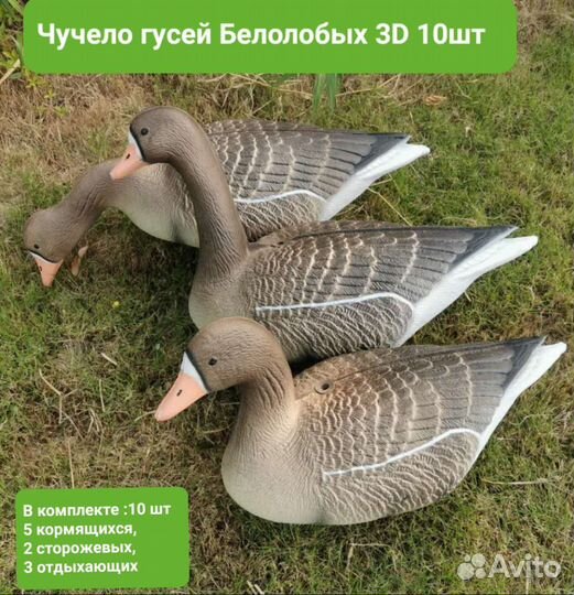 Чучела Белолобых гусей 3D 10шт