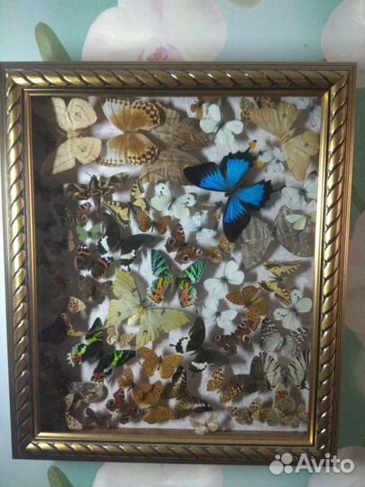 Интерьерная картина