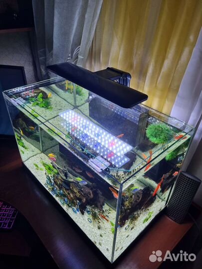 Аквариум