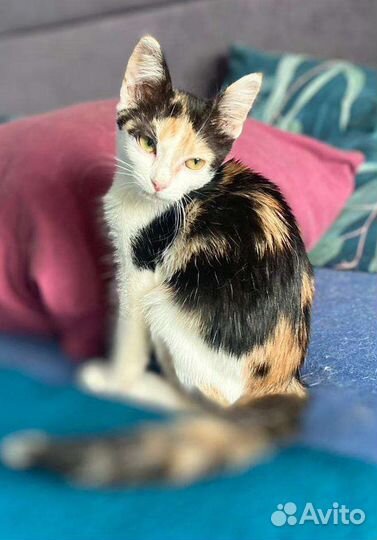 Малышка Нюша ищет любящую семью