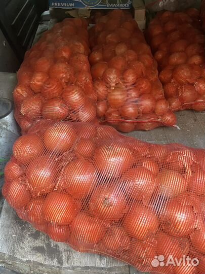 Лук крупный