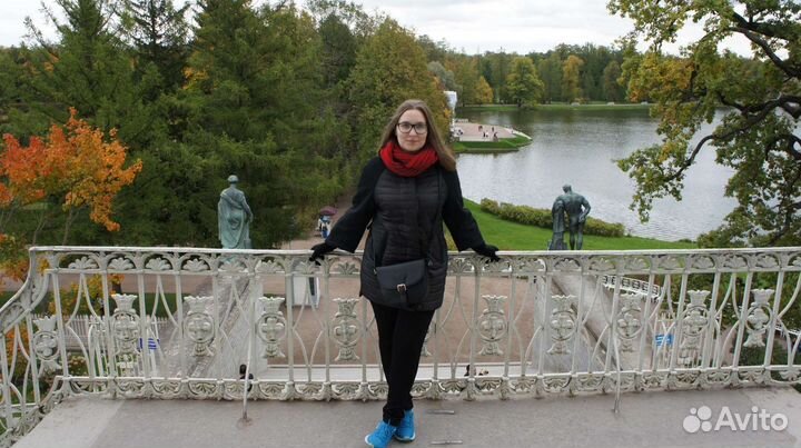 Репетитор по литературе