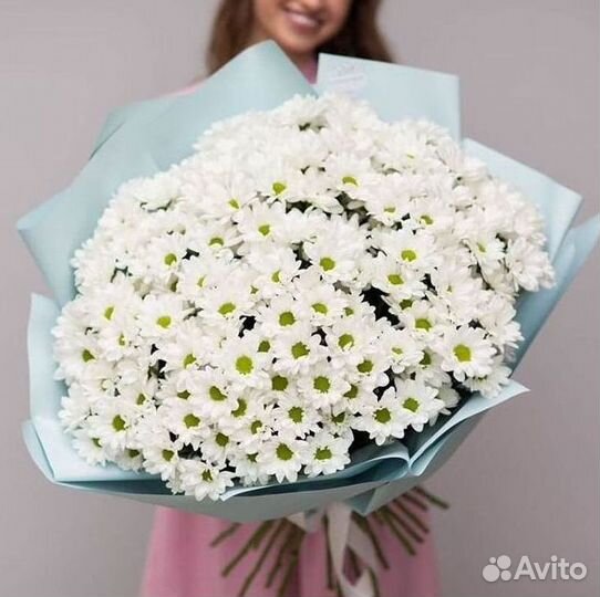 Хризантема Букет хризантем Доставка