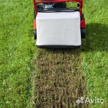 Благоустройство под ключ посадка и уход за газоном