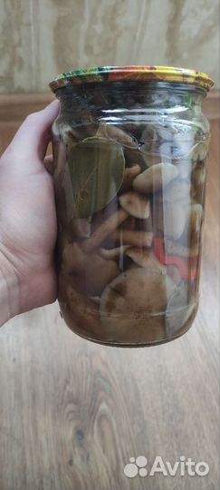 Белые грибы и Опята маринованные