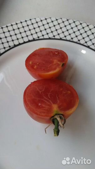 Помидоры домашние грунтовые