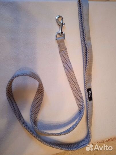 Ошейник, поводок, шлейка