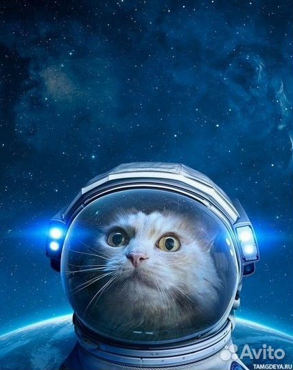 Процессоры Intel Core i3/i5/i7/i9 Ryzen 5/7/9