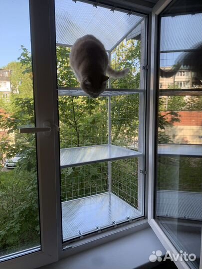 Балкон для кошек Cat’s Kingdom/Балкончик для кошек