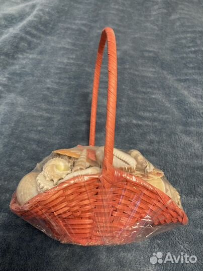 Набор ракушек