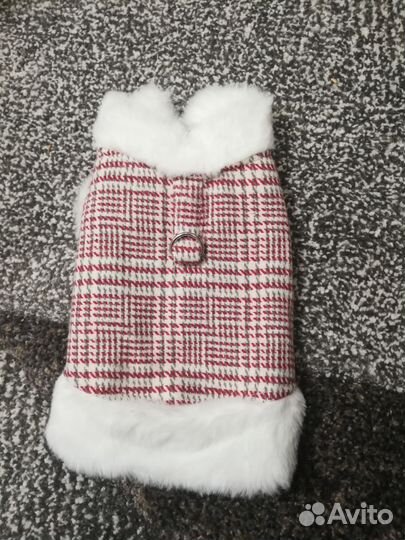 Одежда для собак. Такой нет у нас в магазинах