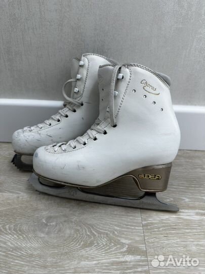 Коньки Edea Chorus 220