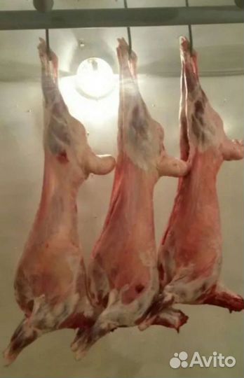 Баранина Халяль