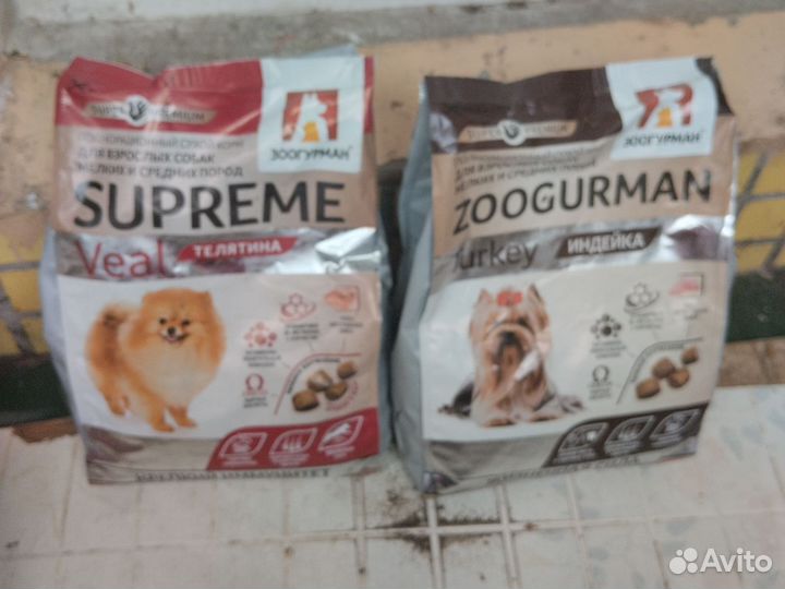 Корм для собак и кошек