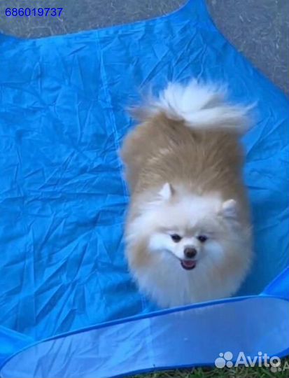 Новый вольер манеж для мелких животных