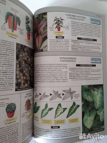 Книга Всё о комн.растениях