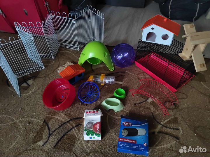 Всё необходимое для хомяка