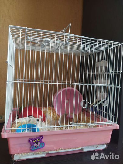 Клетка для грызунов