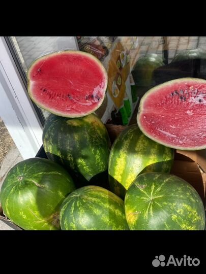 Арбуз иранский