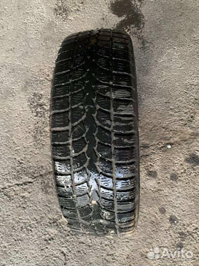 Acustica Challenger 175/65 R14