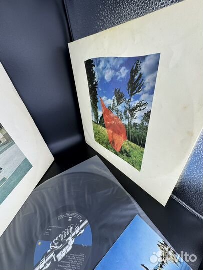 Pink Floyd – Wish You Were Here sopo100 1975