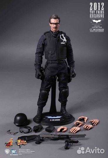 Hot toys The Dark Knight Lt. Jim Gordon