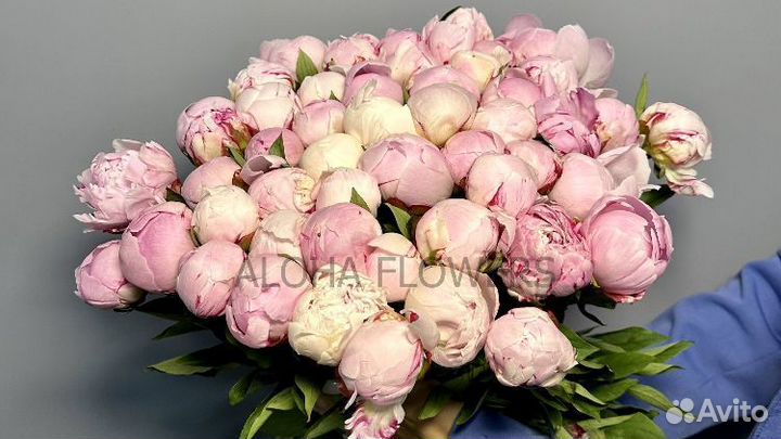 Букет из пионов
