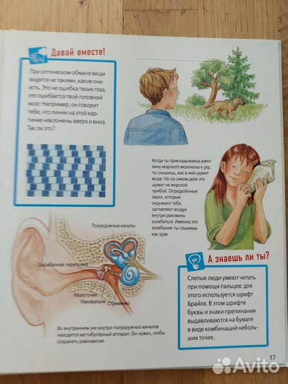 Детские энциклопедии с окошками