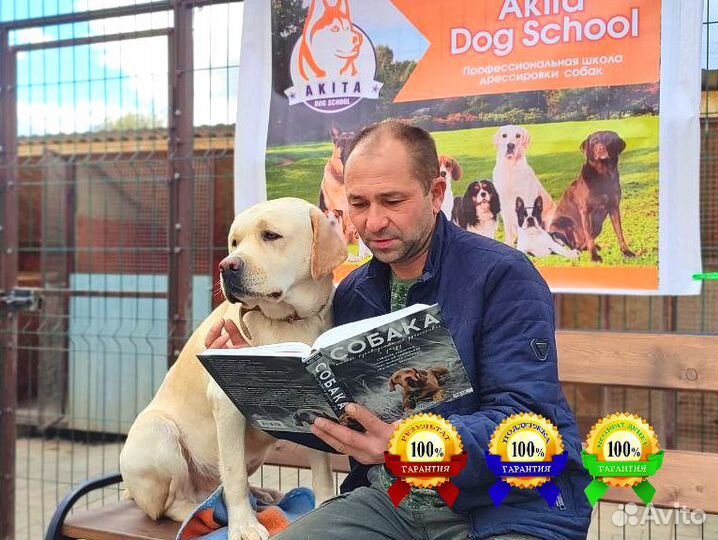 Идеальная собака с оплатой за результат. Гарантия