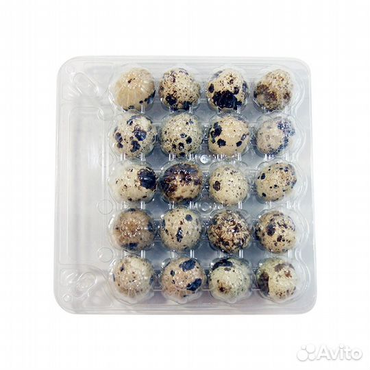 Упаковка для перепелиных яиц 20