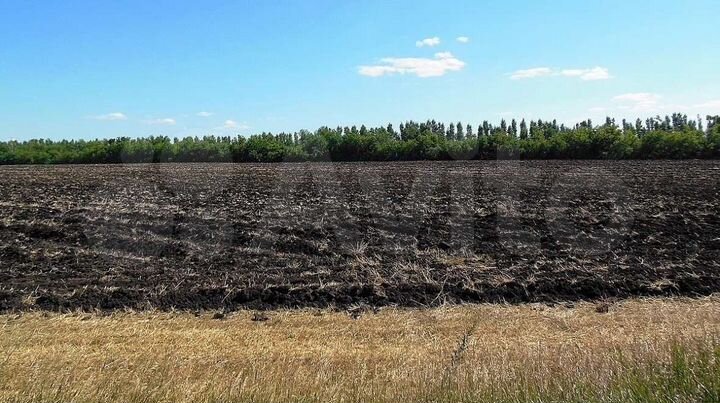 Участок 303,5 га (СНТ, ДНП)