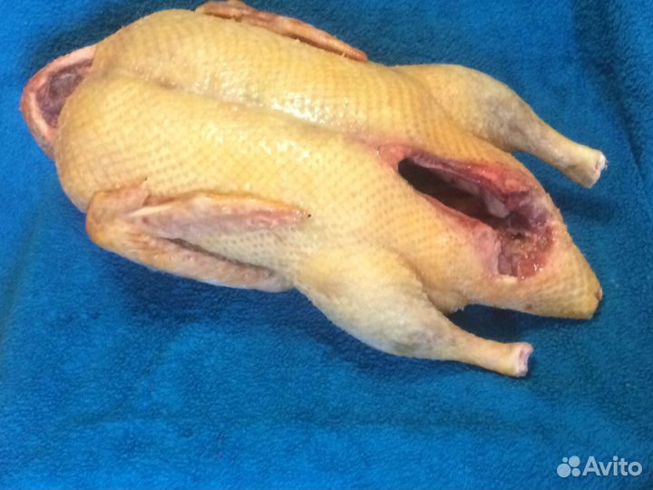 Мясо утки (мулард)