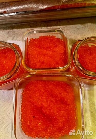 Форель свежая из Карелии (Опт От 20 кг)