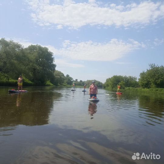 Сплав на сапборде