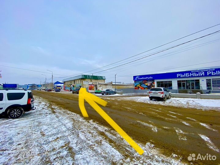 Чай жамбо казахстан