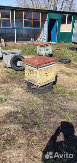 Продаются улья