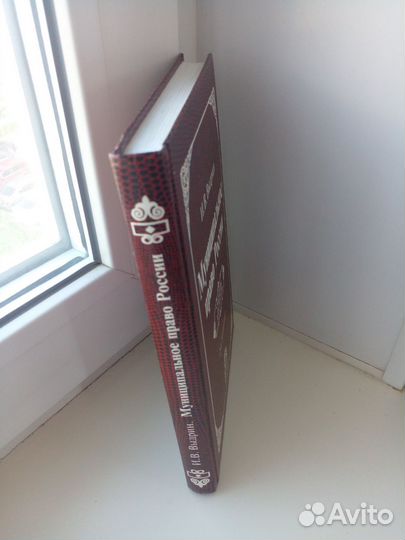 И. Выдрин Муниципальное право России