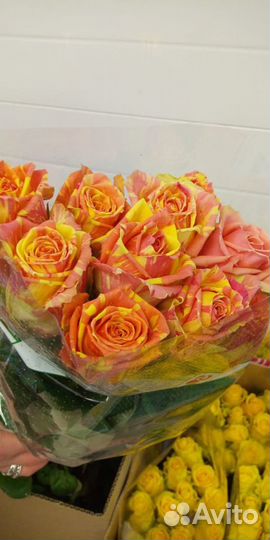 Розы с доставкой в офис, на дом