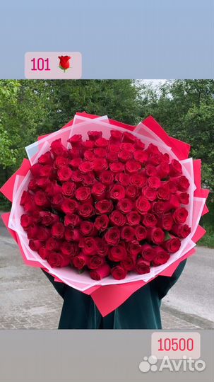 101 роза