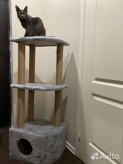 Когтеточка домик для кошки