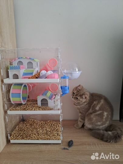 Клетка для грызунов очень большая