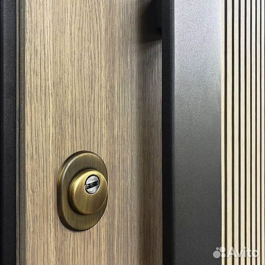 Железная входная дверь с звукоизоляцией