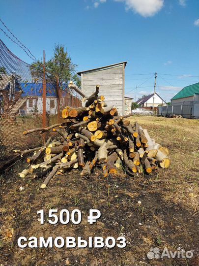 Продам дрова