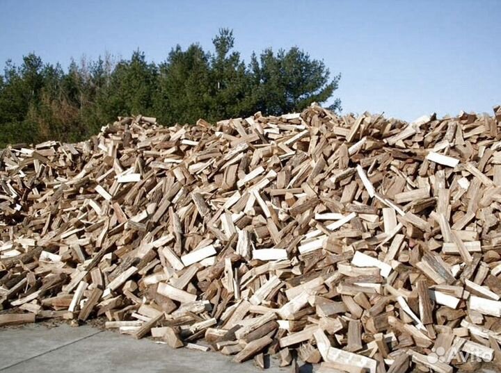 Дрова осина ольха береза