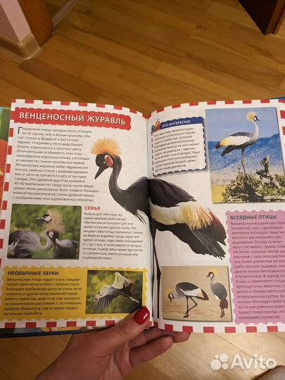 Книга энциклопедия для детей