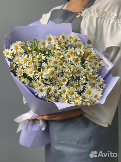 Ромашки цветы букеты