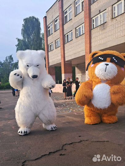 Белый мишка поздравление, праздники и мероприятия